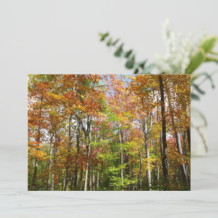 Fall Forest II Herbstlandschaftsfotografie Karte
