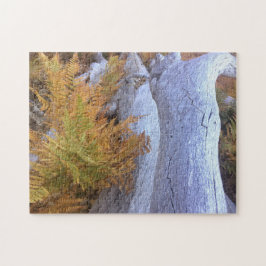 Fall Forest Puzzle