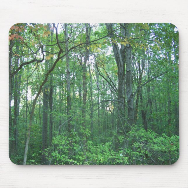 Fall-Forstwirtschaft Mousepad (Vorne)