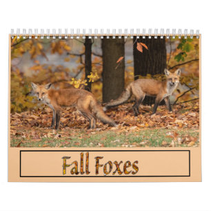 Fall Foxes Calendar Kalender