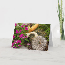 Fall Gourds & Impatiens Grußkarte Karte