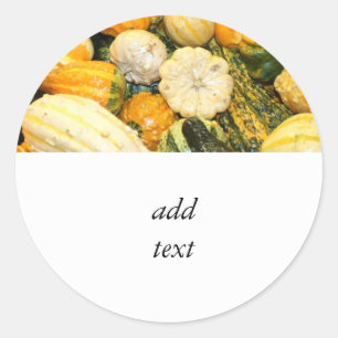 Fall Gourds & Mini Pumpkins Runder Aufkleber