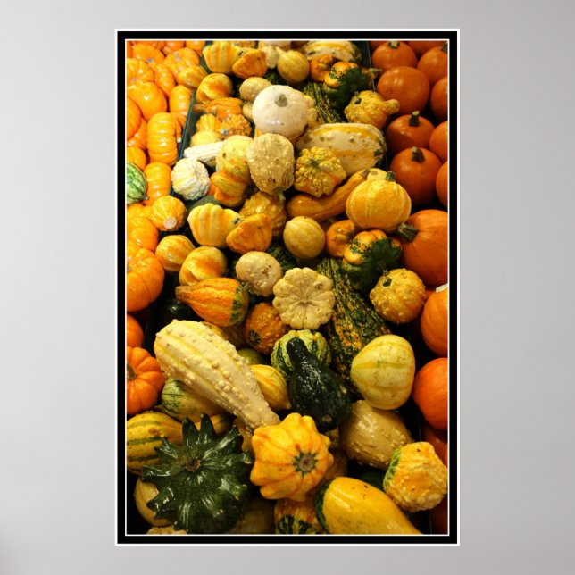 Fall Gourds Poster (Vorne)