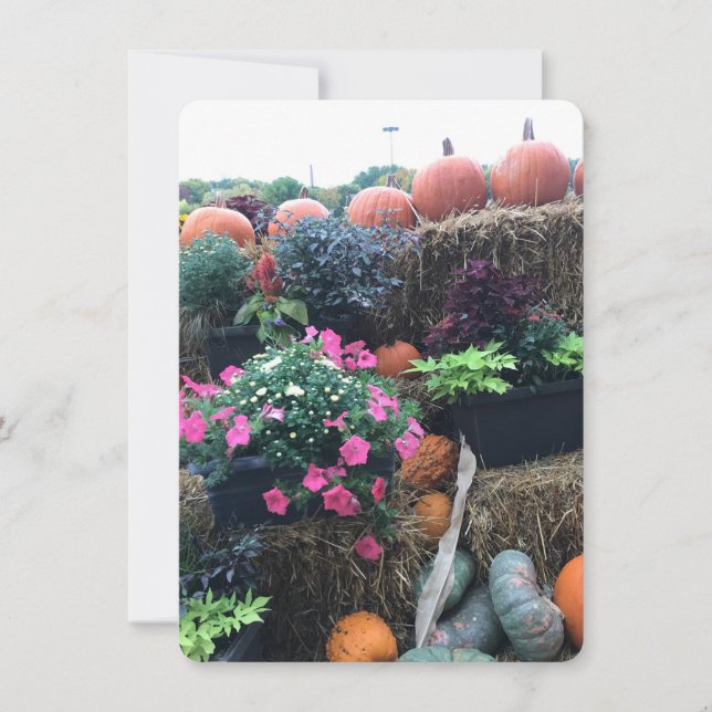 Fall Halloween Pumpkins Dankeskarte (Vorderseite)