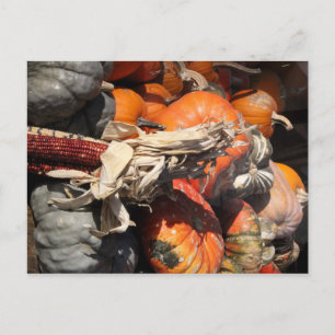 Fall Harvest Postkarte