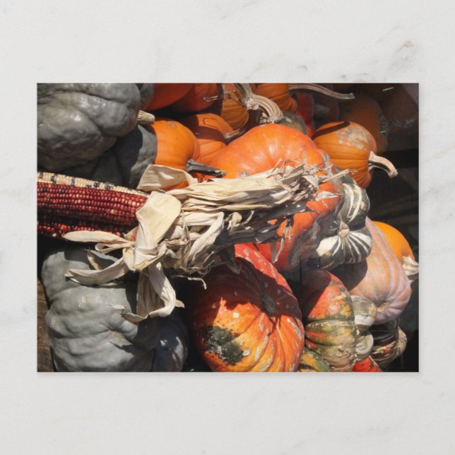 Fall Harvest Postkarte (Vorderseite)