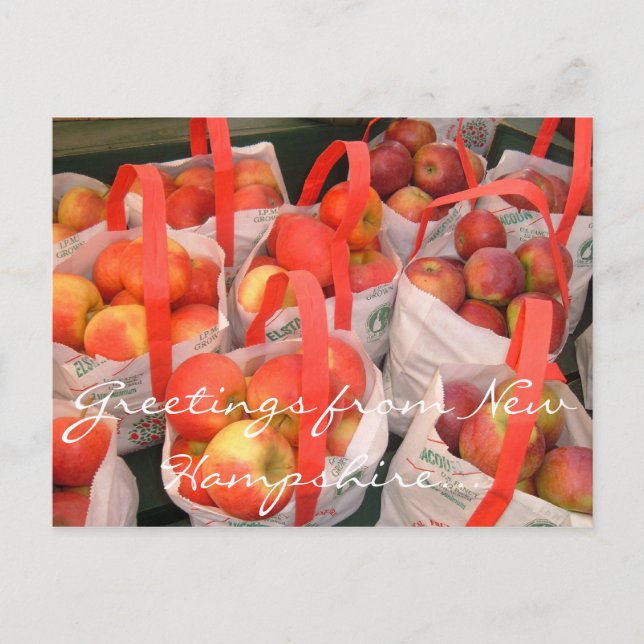 Fall Harvest Postkarte (Vorderseite)