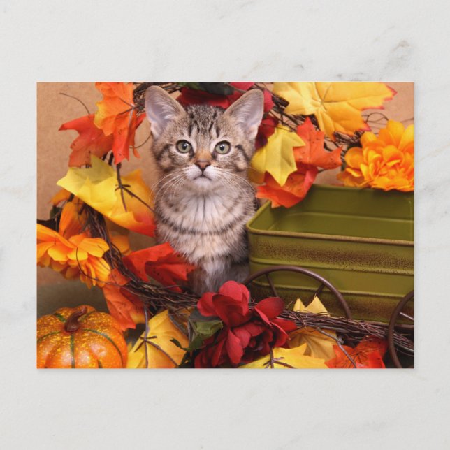 Fall Harvest Postkarte (Vorderseite)