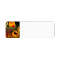 Fall Harvest Sonnenblumen