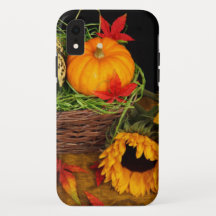 Fall Harvest Sonnenblumen