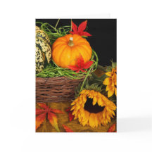 Fall Harvest Sonnenblumen