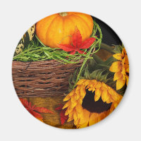 Fall Harvest Sonnenblumen