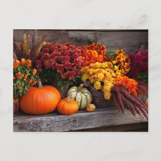 Fall Harvest Tablescape - Autumn Pumpkins Flowers Postkarte (Vorderseite)