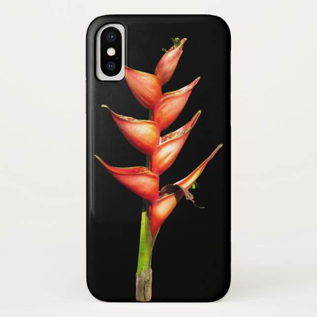 Fall Heliconia iPhone Case-Mate iPhone Hülle (Rückseite)