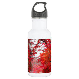 Fall-Herbst-Jahreszeit-Forest Park Trinkflasche