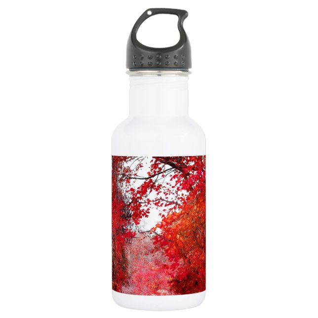 Fall-Herbst-Jahreszeit-Forest Park Trinkflasche (Vorderseite)