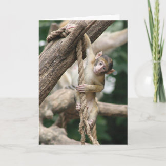 Fall herein dort karte