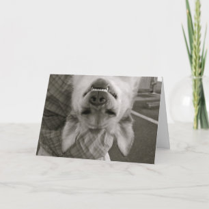 Fall herein dort karte