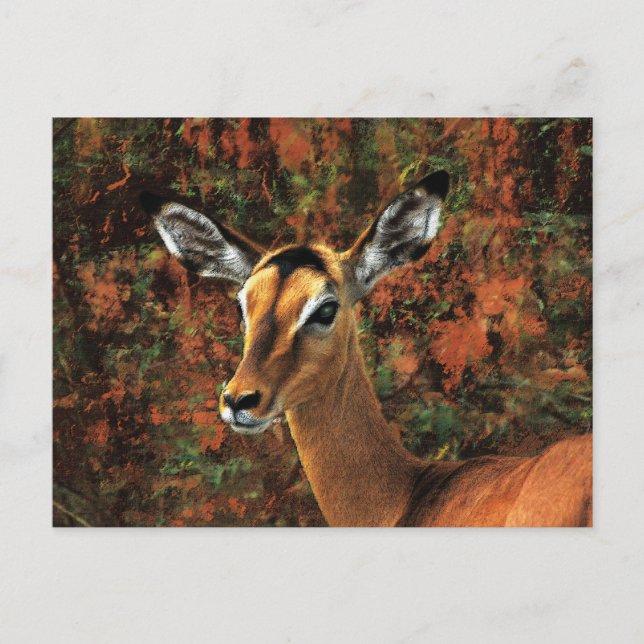 Fall Impala Fantasy Art Postkarte (Vorderseite)