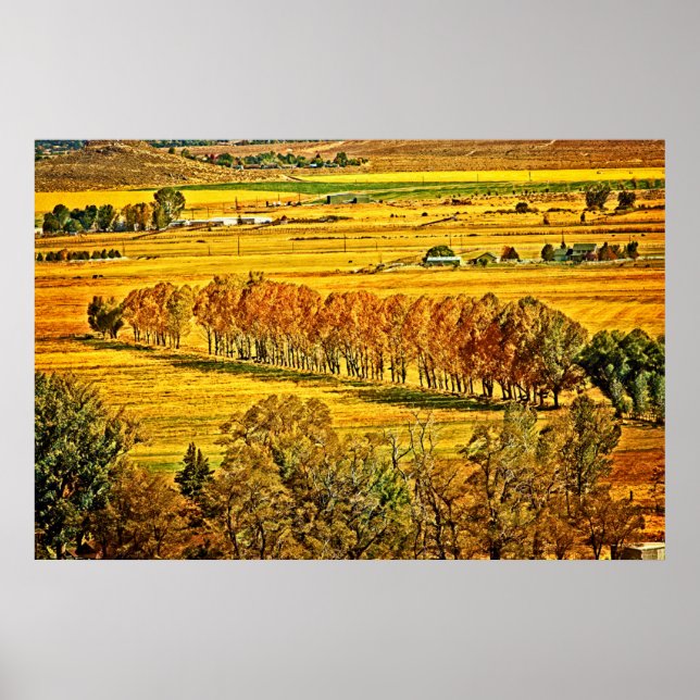 Fall in Carson Valley Poster (Vorne)