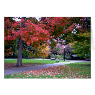 Fall in den allgemeinen Garten