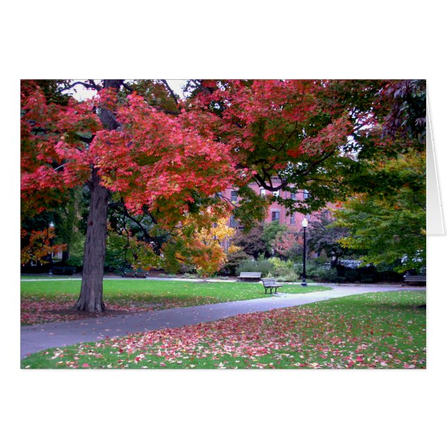 Fall in den allgemeinen Garten (Vorderseite (Horizontal))