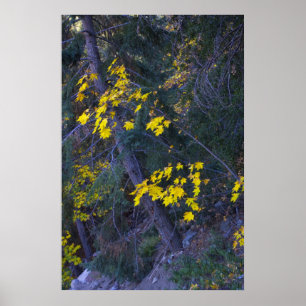 Fall in den Bergen 4 Poster