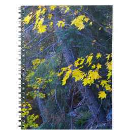 Fall in den Bergen 6 Notizblock