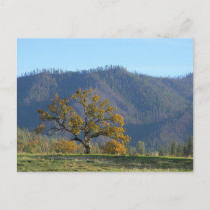 Fall in den Bergen... Postkarte. Postkarte