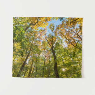 Fall in einem Wald in Amesbury, Massachusetts Wandteppich