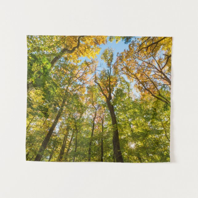 Fall in einem Wald in Amesbury, Massachusetts Wandteppich (Vorderseite (Horizontal))