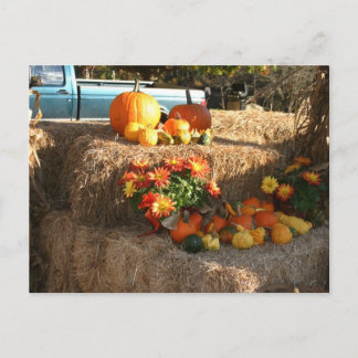 Fall in Ellington, CT. Postkarte