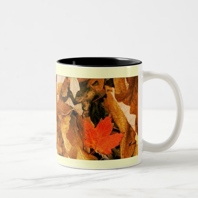 Fall in Herbst verlässt Tasse (Rechts)