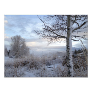 Fall in Jackson Hole, WY Fotodruck