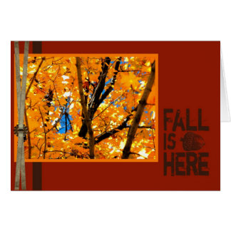 Fall ist hier
