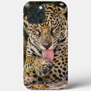 Fall Jaguar Cub Case-Mate iPhone Hülle