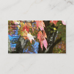 Fall-Karten Visitenkarte