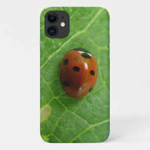 Fall Ladybug iPhone 3 Case-Mate iPhone Hülle