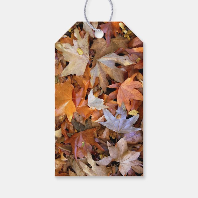 Fall Leaf Geschenkanhänger (Vorderseite)
