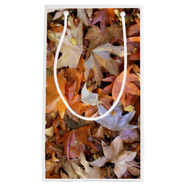 Fall Leaf Kleine Geschenktüte (Vorderseite)