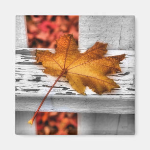 Fall Leaf Magnet
