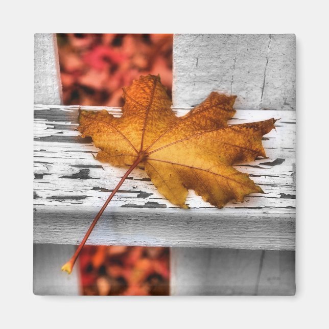 Fall Leaf Magnet (Vorne)