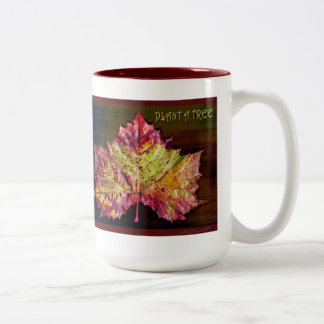 Fall Leaf Pflanze A Bäume Tasse