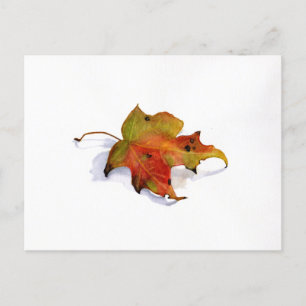 Fall Leaf Watercolor Postcard Postkarte