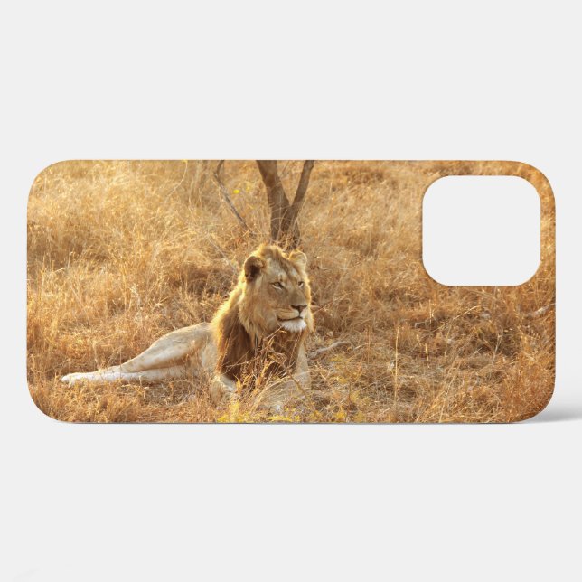 Fall Lion iPhone 12 Case-Mate iPhone Hülle (Rückseite (Horizontal))