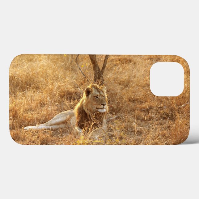Fall Lion iPhone 13 Case-Mate iPhone Hülle (Rückseite (Horizontal))