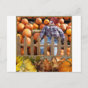 Fall Midwest Postkarte