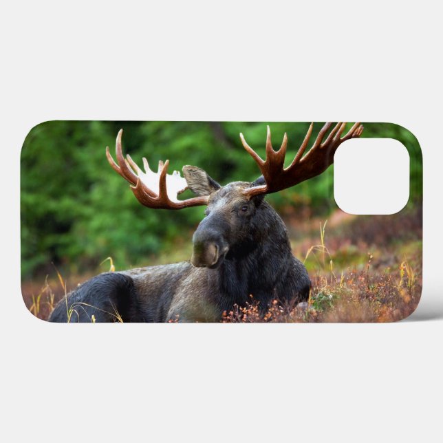 Fall Moose iPhone 13 Case-Mate iPhone Hülle (Rückseite (Horizontal))