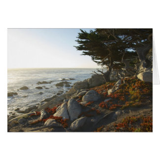 Fall-Nachmittag auf dem Pazifik