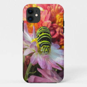 Fall Nosy Raupe iPhone 5 Case-Mate iPhone Hülle